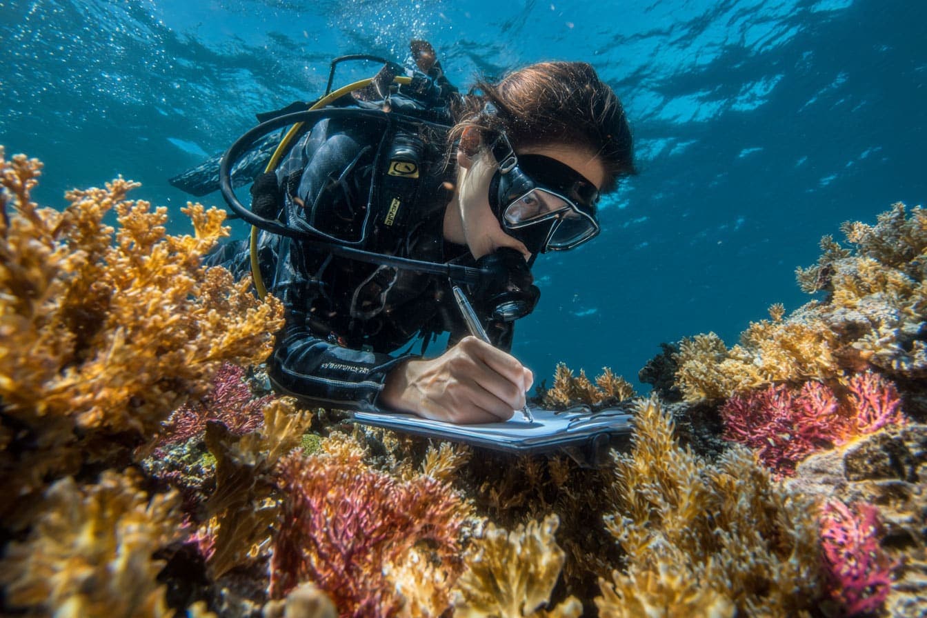 How to Join Ocean Citizen Science from Anywhere